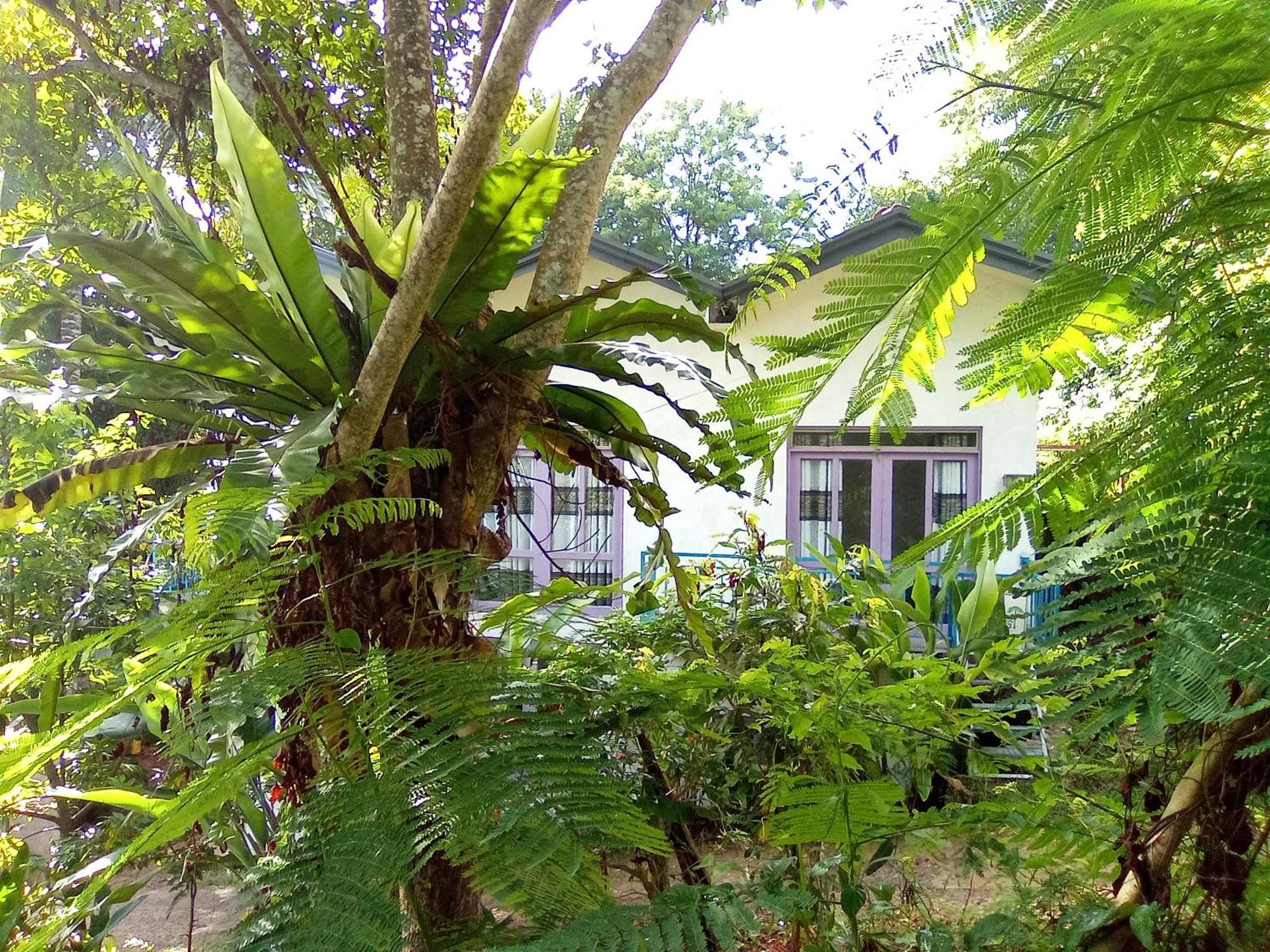House 73 Hotel Unawatuna Exterior photo