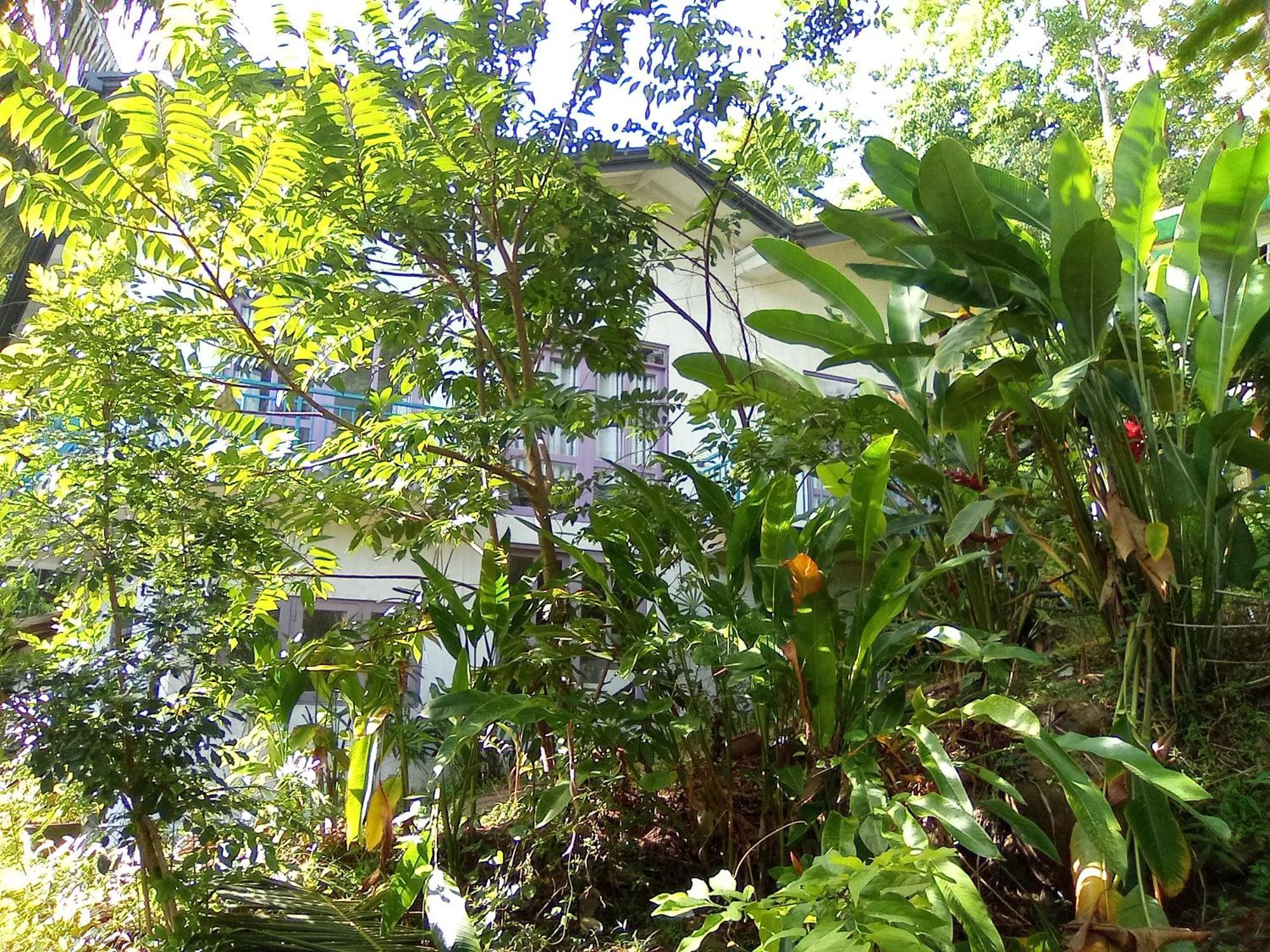 House 73 Hotel Unawatuna Exterior photo
